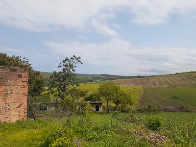 Farm For Sale in Fraser, Tongaat - n9Wh.webp