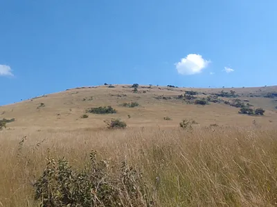 Farm For Sale in Nelspruit Rural, Nelspruit - QgJm.webp