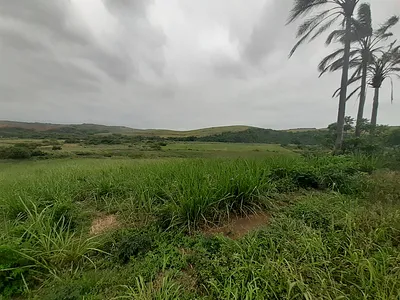 Farm For Sale in Compensation Beach, Ballito - dLSF.webp