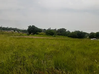 Farm For Sale in Ballito - wlLB.webp
