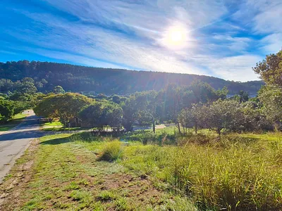 Vacant Land For Sale in Sedgefield - XhIo.webp