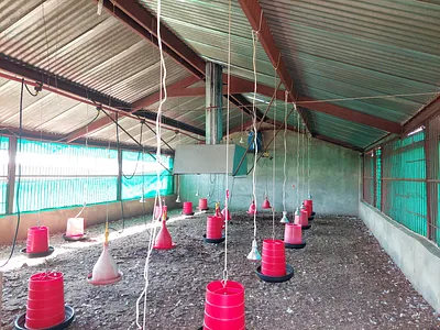 Farm For Sale in Hammanskraal - m3kH.webp