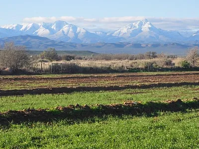 Farm For Sale in Oudtshoorn - Zgio.webp