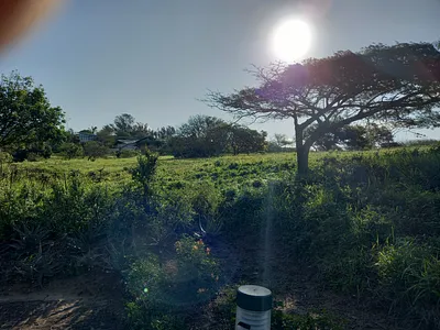 Vacant Land For Sale in Zinkwazi Beach - 3BJ4.webp