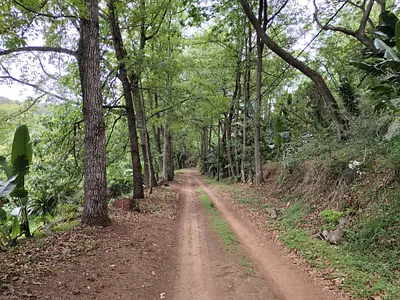 9 Bedroom House For Sale in Hillcrest - DLd1.webp