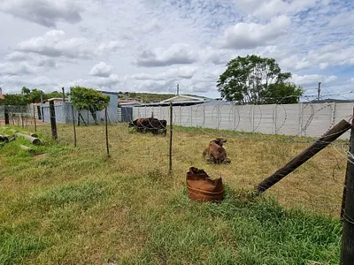 2 Bedroom House For Sale in Mossel Bay - cUei.webp