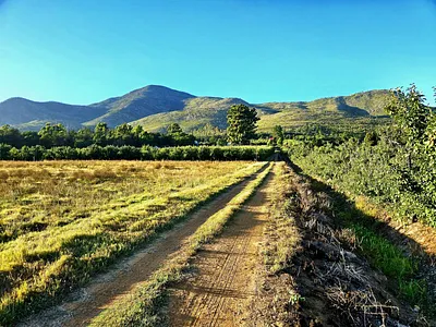 Farm For Sale in Joubertina - oYGV.webp