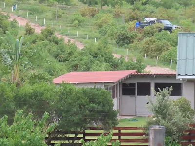 Farm For Sale in George - FIVH.webp