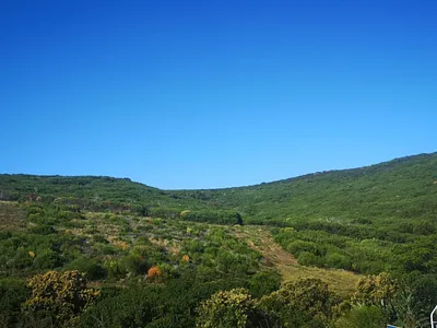 Vacant Land For Sale in Mossel Bay - cLOr.webp