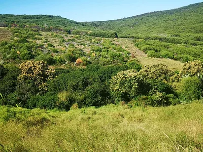 Vacant Land For Sale in Mossel Bay - oQHo.webp