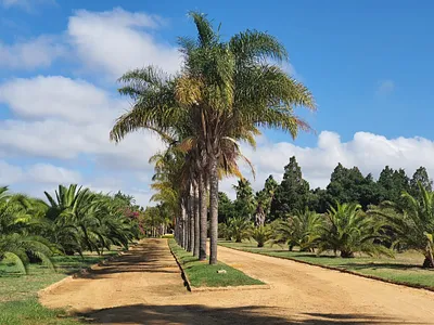 Farm For Sale in Malmesbury - img