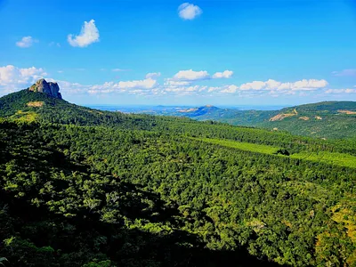 Farm For Sale in White River - Uoas.webp