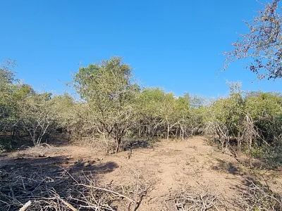 Vacant Land For Sale in Marloth Park - giuH.webp