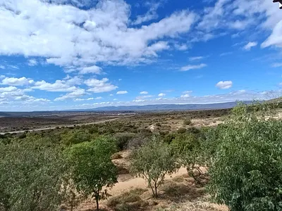 Farm For Sale in Calitzdorp - UqGs.webp