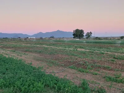 Farm For Sale in Graaff-Reinet - yqb9.webp