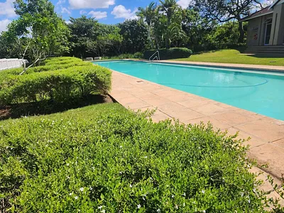 1 Bedroom Apartment For Sale in Ballito - T5Uk.webp