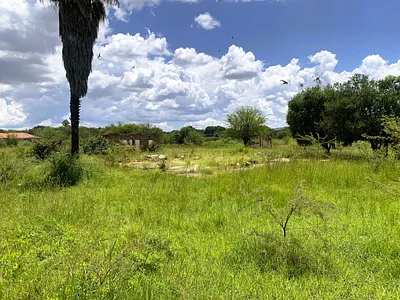 Vacant Land For Sale in Modimolle - njrx.webp