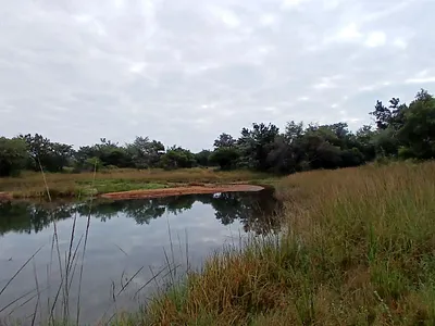 Farm For Sale in Bela Bela - V9Da.webp