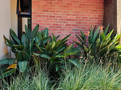 4 Bedroom House For Sale in Polokwane - IRPo.webp