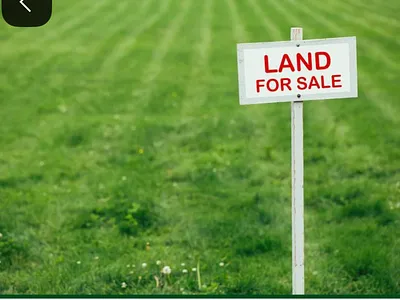 Vacant Land For Sale in Eendrag - 6966.webp