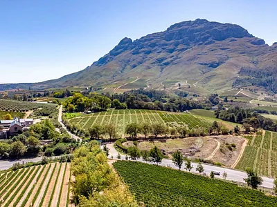 Farm For Sale in Stellenbosch - HdZz.webp