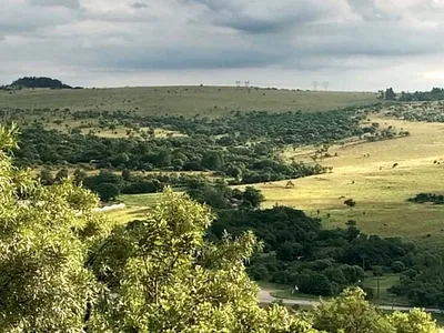 Farm For Sale in Centurion - sKCv.webp