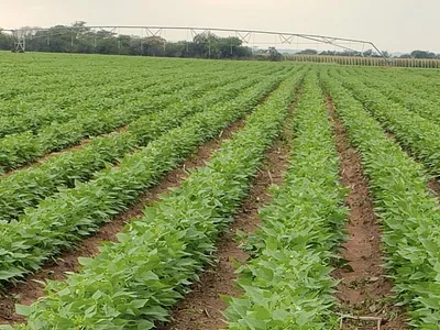 Farm For Sale in Mookgopong - VrHW.webp