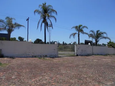 3 Bedroom House To Rent in Sandton - WaNn.webp