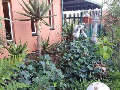 3 Bedroom House For Sale in Brakpan - 4oxZ.webp