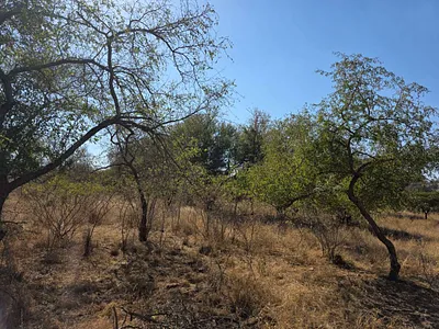 Vacant Land For Sale in Hoedspruit - 8RsS.webp