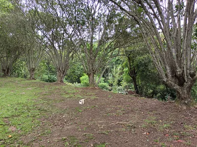 Vacant Land For Sale in Hillcrest - rf07.webp