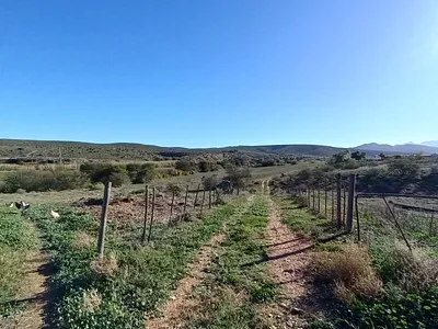 Farm For Sale in Oudtshoorn - HUad.webp