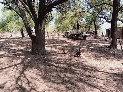 Farm For Sale in Lichtenburg - Q3yD.webp