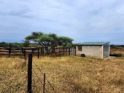 Farm For Sale in Louis Trichardt - RdJK.webp