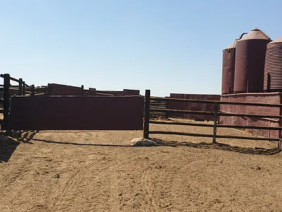 Farm For Sale in Morgenzon - 8baa.webp