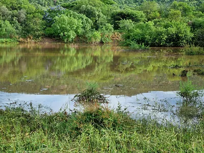 Farm For Sale in Mokopane - aAlM.webp