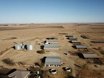 Farm For Sale in Morgenzon - 69T9.webp