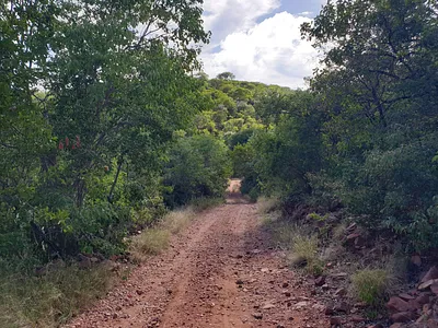 Farm For Sale in Vaalwater - L96N.webp