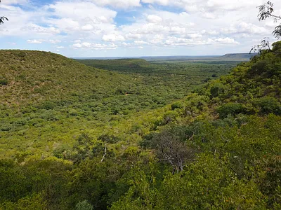 Farm For Sale in Vaalwater - jWjW.webp