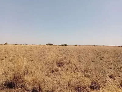 Farm For Sale in Lichtenburg - 1ncp.webp