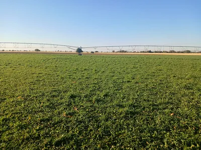 Farm For Sale in Vryburg - qxFS.webp