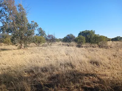 Farm For Sale in Vryburg - aD8t.webp