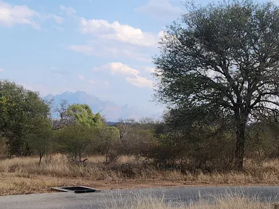 Vacant Land For Sale in Hoedspruit - EUvF.webp