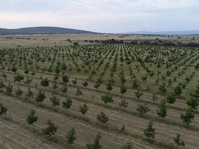 Farm For Sale in Bela Bela - KuES.webp