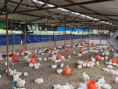 Farm For Sale in Modimolle - mGYD.webp