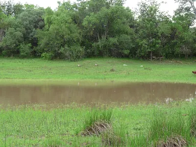 Farm For Sale in Mookgopong - go4M.webp