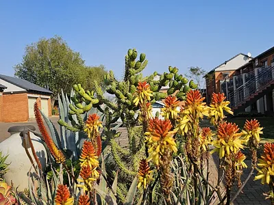 2 Bedroom Townhouse For Sale in Pretoria - 78iv.webp