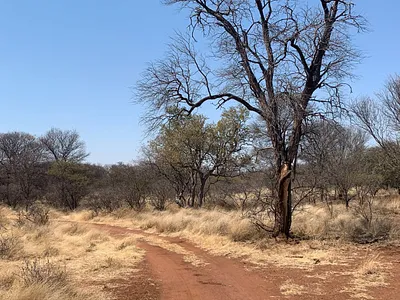 Farm For Sale in Lephalale - QpaB.webp