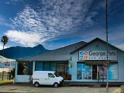 Commercial Property For Sale in George - rQJM.webp