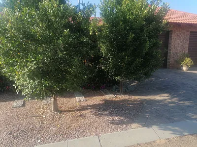 2 Bedroom House For Sale in Modimolle - iDjr.webp